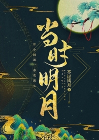 当时明月【江湖·疯批·H】小说封面