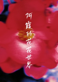阿霞的花花世界小说封面