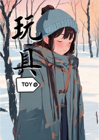 玩具（SM）小说封面